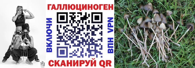 купить   Покровск  Галлюциногенные грибы ЛСД 